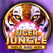 Tổng kết về nền tảng abcvip win